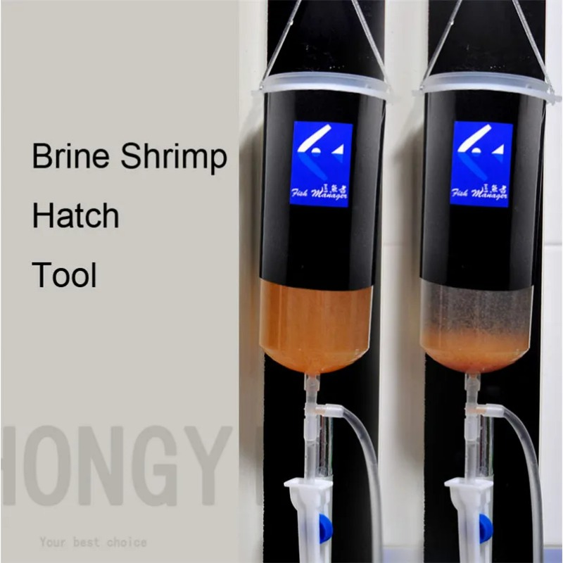 Baby Food Shrimp - Fairy garnalen ei artemia levend gemakkelijk