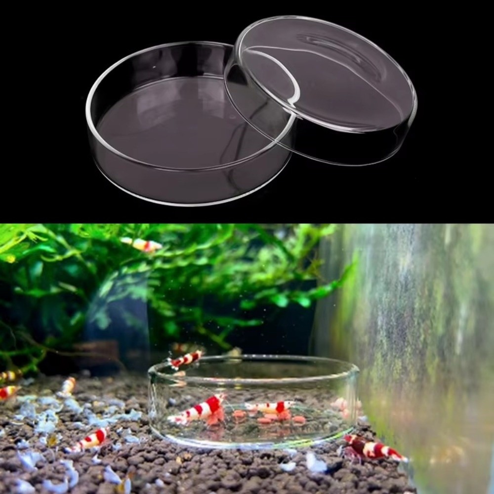 Baby Food Shrimp - Glazen Aquarium Voerbak Duurzaam Helder Rond