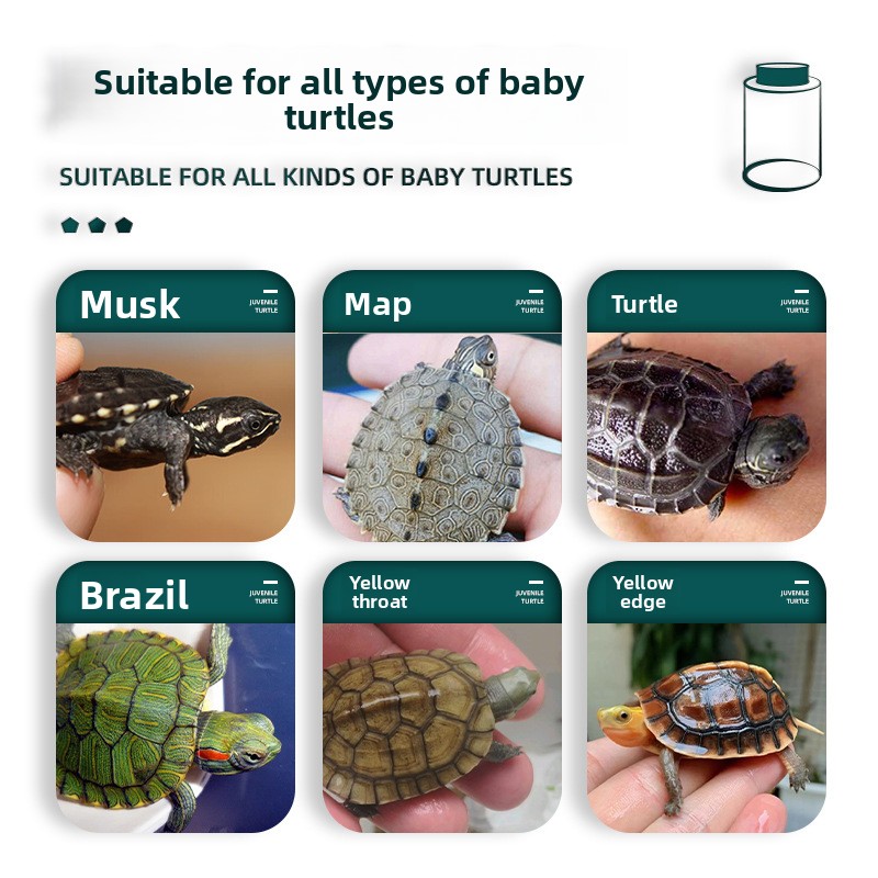 BESSN All-Stage Turtle Food me - Baby Food Shrimp recensie en prijs